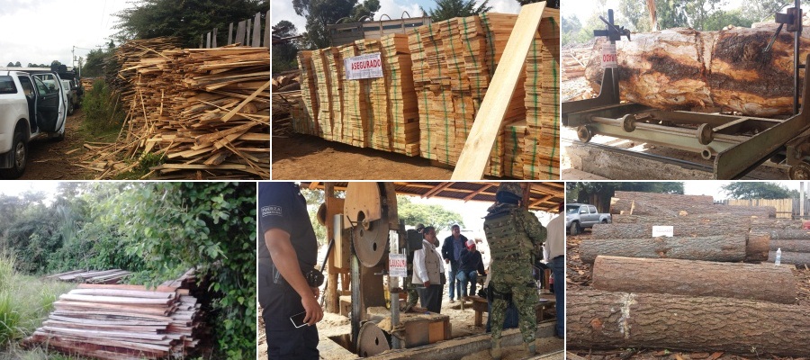 madera ilegal asegurada profepa mexico operativo forestal